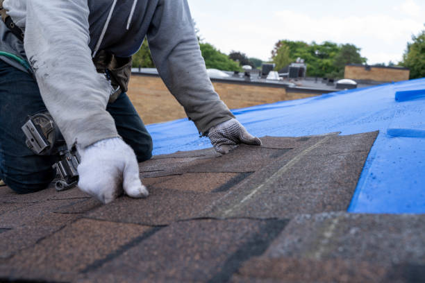 Best Storm Damage Roof Repair  in Gages Lake, IL